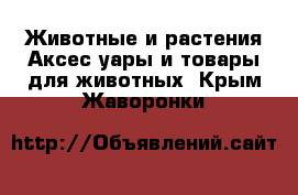 Животные и растения Аксесcуары и товары для животных. Крым,Жаворонки